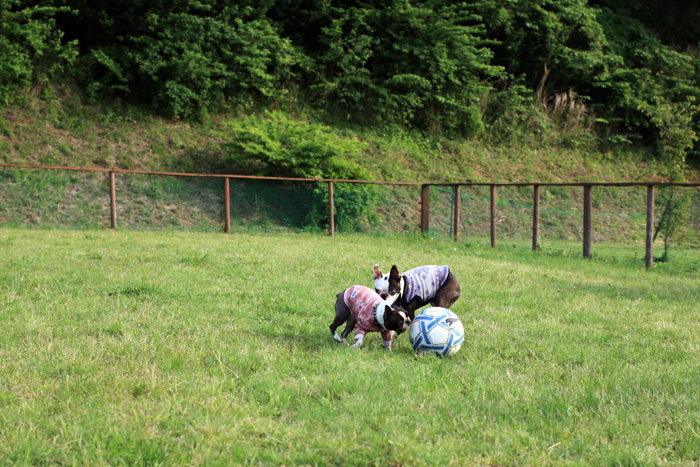 201306014.jpg