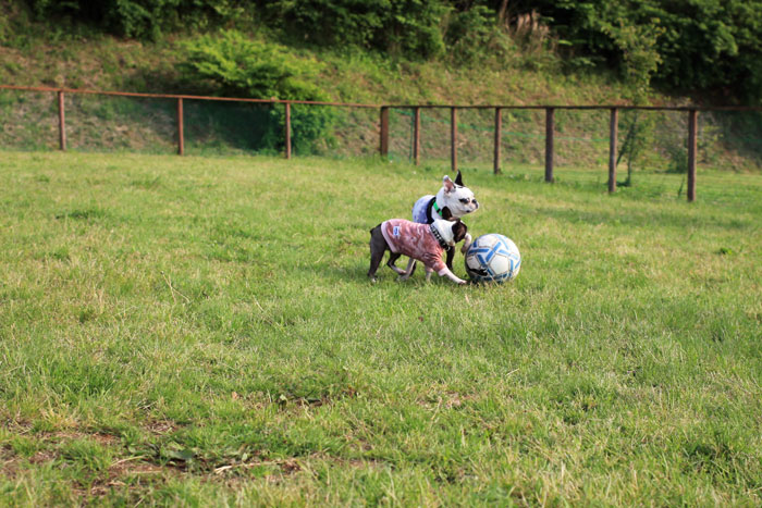 201306015.jpg