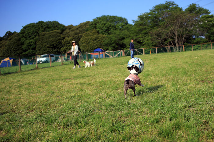201306017.jpg