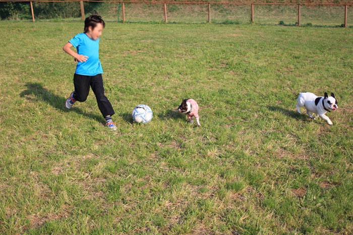 2013060114.jpg