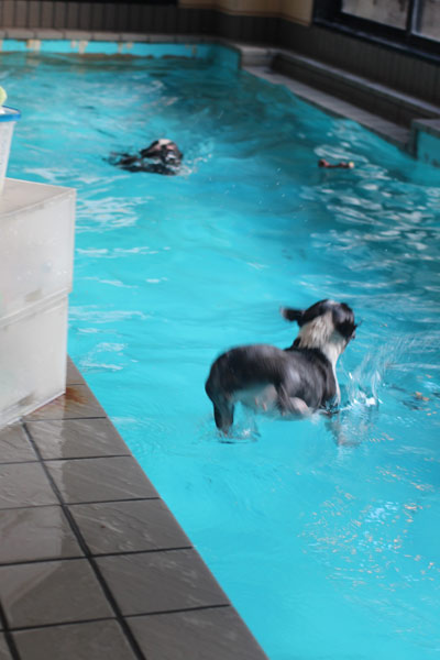 2014040714.jpg