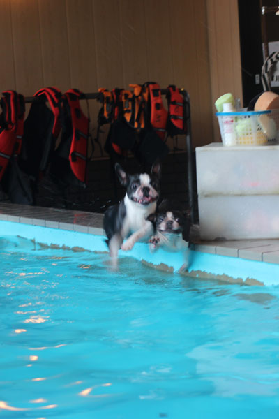 2014040716.jpg