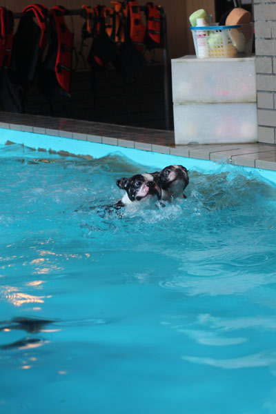 2014040717.jpg
