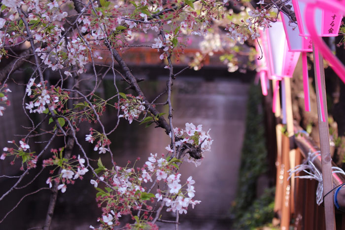 201404091.jpg