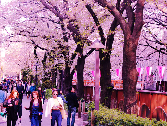 201404093.jpg