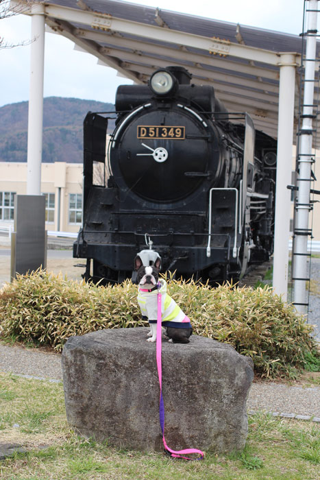 201404212.jpg