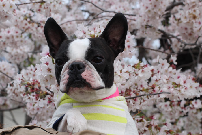 201404213.jpg