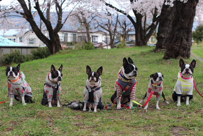 2014042510.jpg