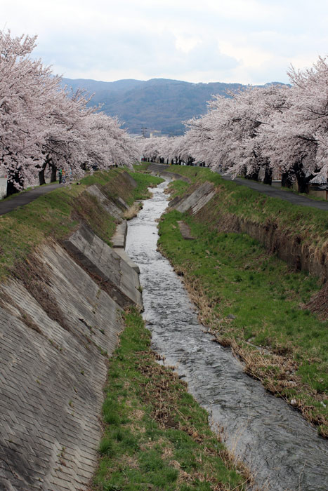 2014042516.jpg