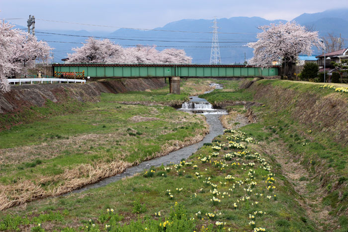 2014042518.jpg
