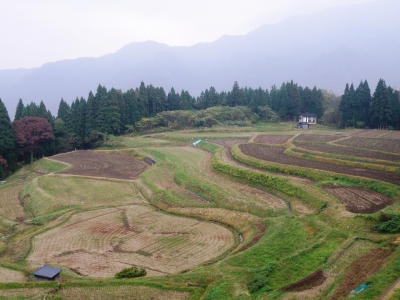 うへ山の棚田