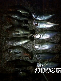 100605_0429~02.jpg