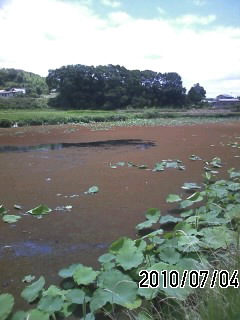 100704_1226~01.jpg