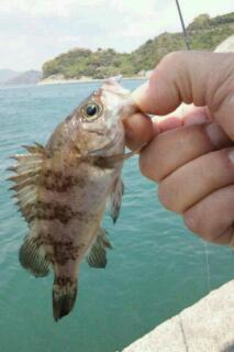 20110530_125714.jpg
