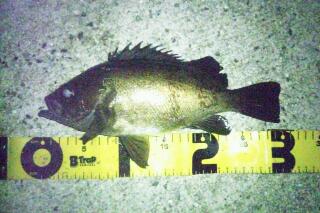 20110530_125240.jpg