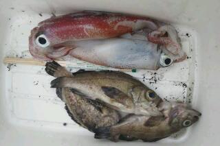 20110530_125541.jpg