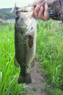 20110530_235944.jpg