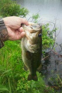 20110531_000008.jpg