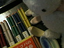 20051005_40511.jpg