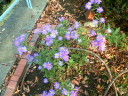 20051118_69206.jpg