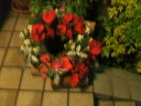 20051127_75217.jpg