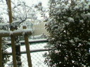 20060121_108144.jpg
