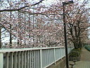 20060327_150000.jpg