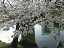 20060401_153370.jpg