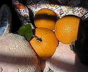 20070309_333089.jpg