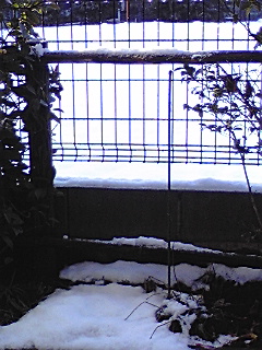 080204_0746~01.jpg