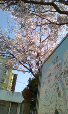 090406_1548~01.jpg