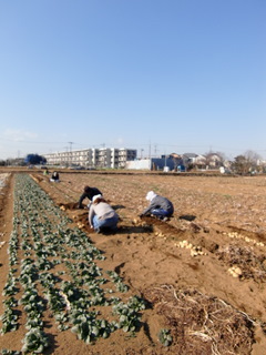 CIMG5110.JPG