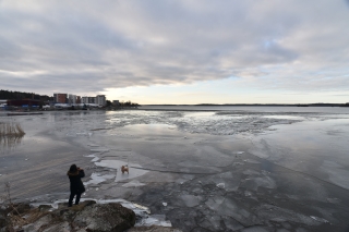 2014 sweden ¥¹¥¦¥§¡¼¥Ç¥ó¡¡Î¹¡¡Åߵ٤ߡ¡Â缫Á³¡¡»¶Êâ