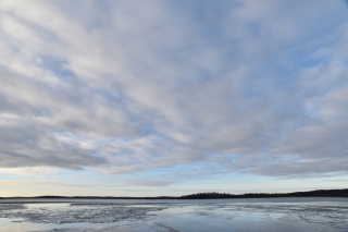 2014 sweden ¥¹¥¦¥§¡¼¥Ç¥ó¡¡Î¹¡¡Åߵ٤ߡ¡Â缫Á³¡¡»¶Êâ
