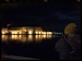 2014 sweden ¥¹¥¦¥§¡¼¥Ç¥ó¡¡Î¹¡¡Åߵ٤ߡ¡Â缫Á³¡¡»¶Êâ¡¡