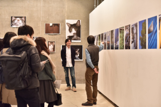 PhotographicPaths BankART ¥®¥ã¥é¥ê¡¼¥È¡¼¥¯_008.JPG