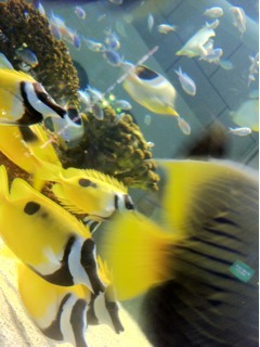 photo3.jpg