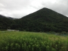 安駄山