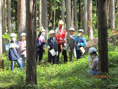 目測樹高の測定