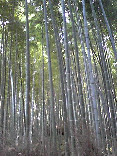 090905_1512~01.JPG