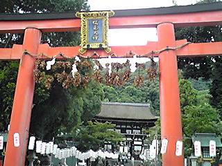 090905_1128~01_Ed.JPG