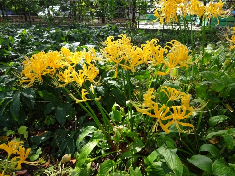DSC01076.JPG