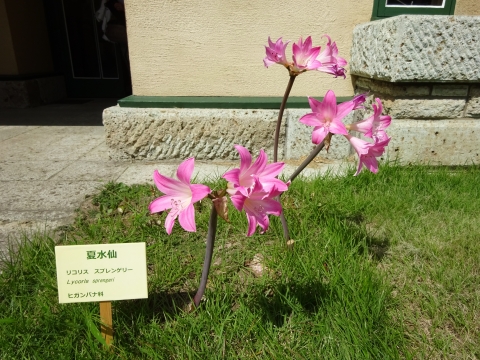DSC01078.JPG