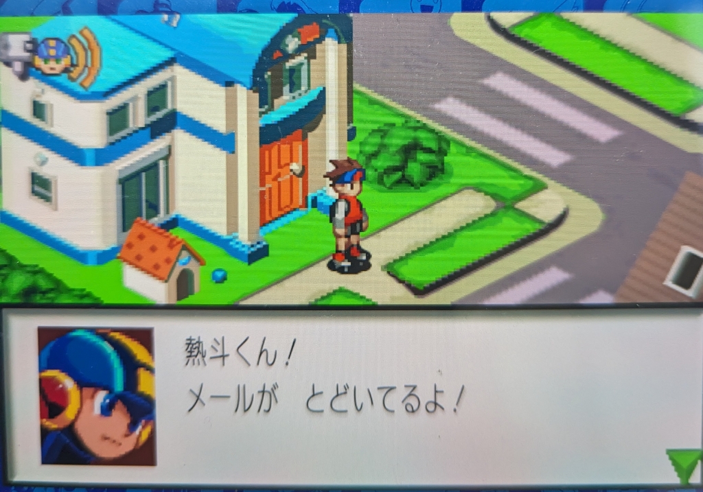 ロックマンエグゼ バトルチップ 153 しぼれ オテンコサマ