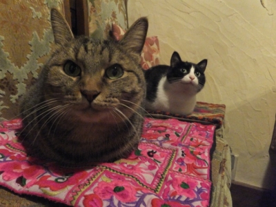 DSCF5593.jpg