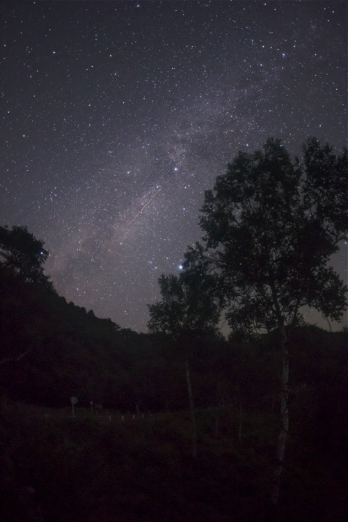 2016ペルセウス流星群