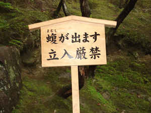 銀閣寺 蝮札