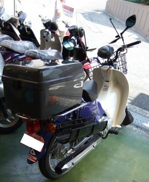 後ろからパシャリ!