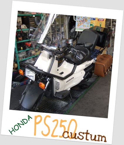PS250。