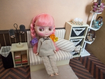 ミディさんと部屋